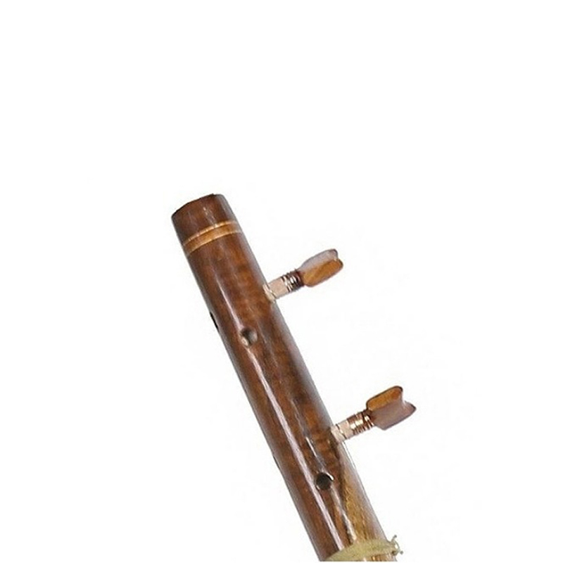 سه تار ذوالقدر یک مهر